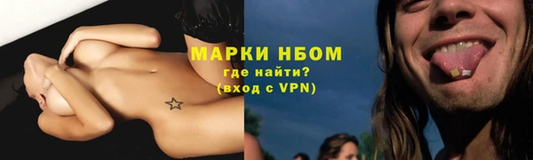 индика Зерноград