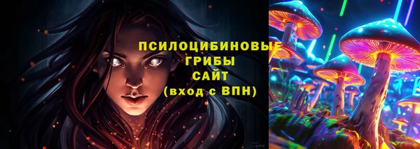 индика Зерноград