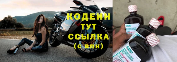 индика Зерноград